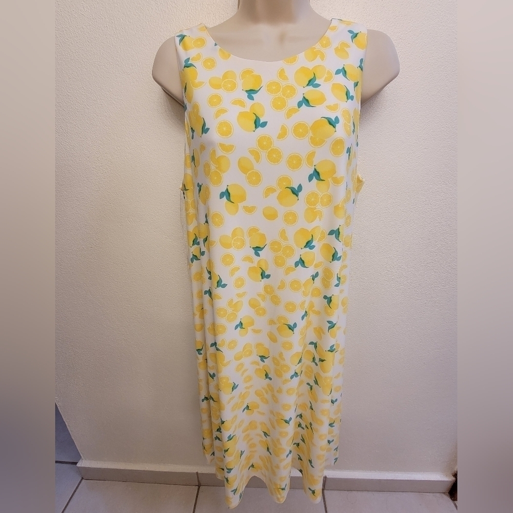 NWT Pappagallo Sleeveless Swing Dress